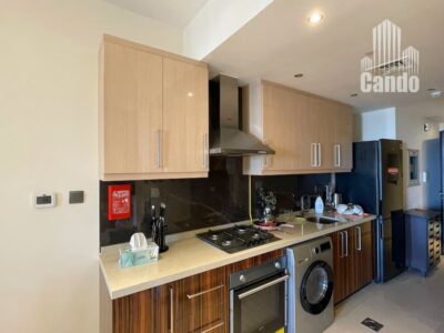 Furnished ope view Studio aprtment for rent @ 70000 aed