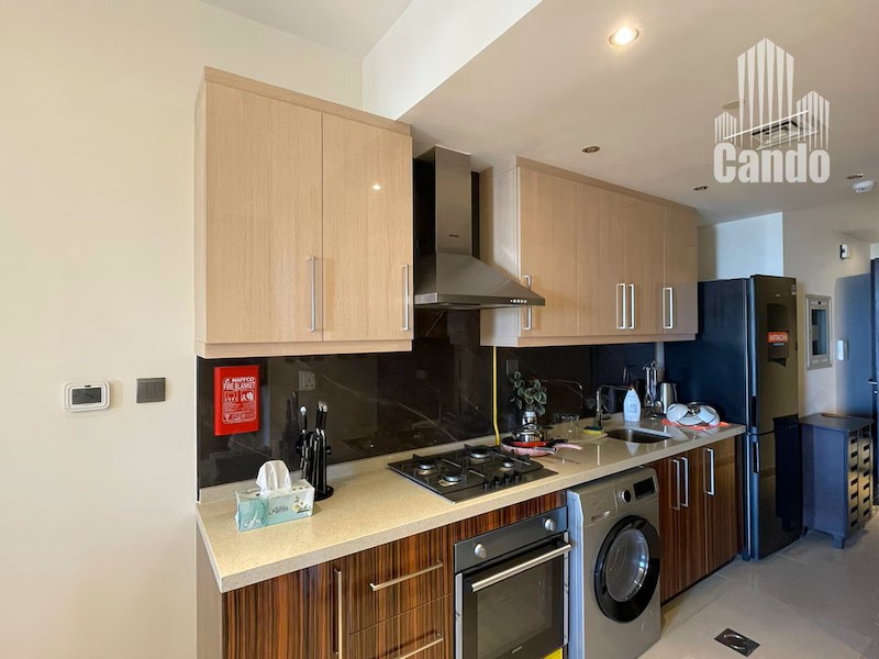 Furnished ope view Studio aprtment for rent @ 70000 aed