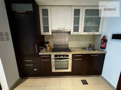 Furnished Studio | Downtown | Vacant Now @ 87000
