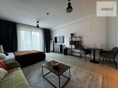 Furnished Studio | Downtown | Vacant Now @ 87000