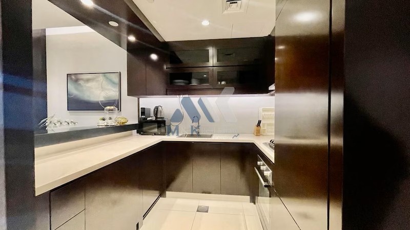 Exquisite , Furnished 1BHK @ 100000 AED in Downtown Dubai